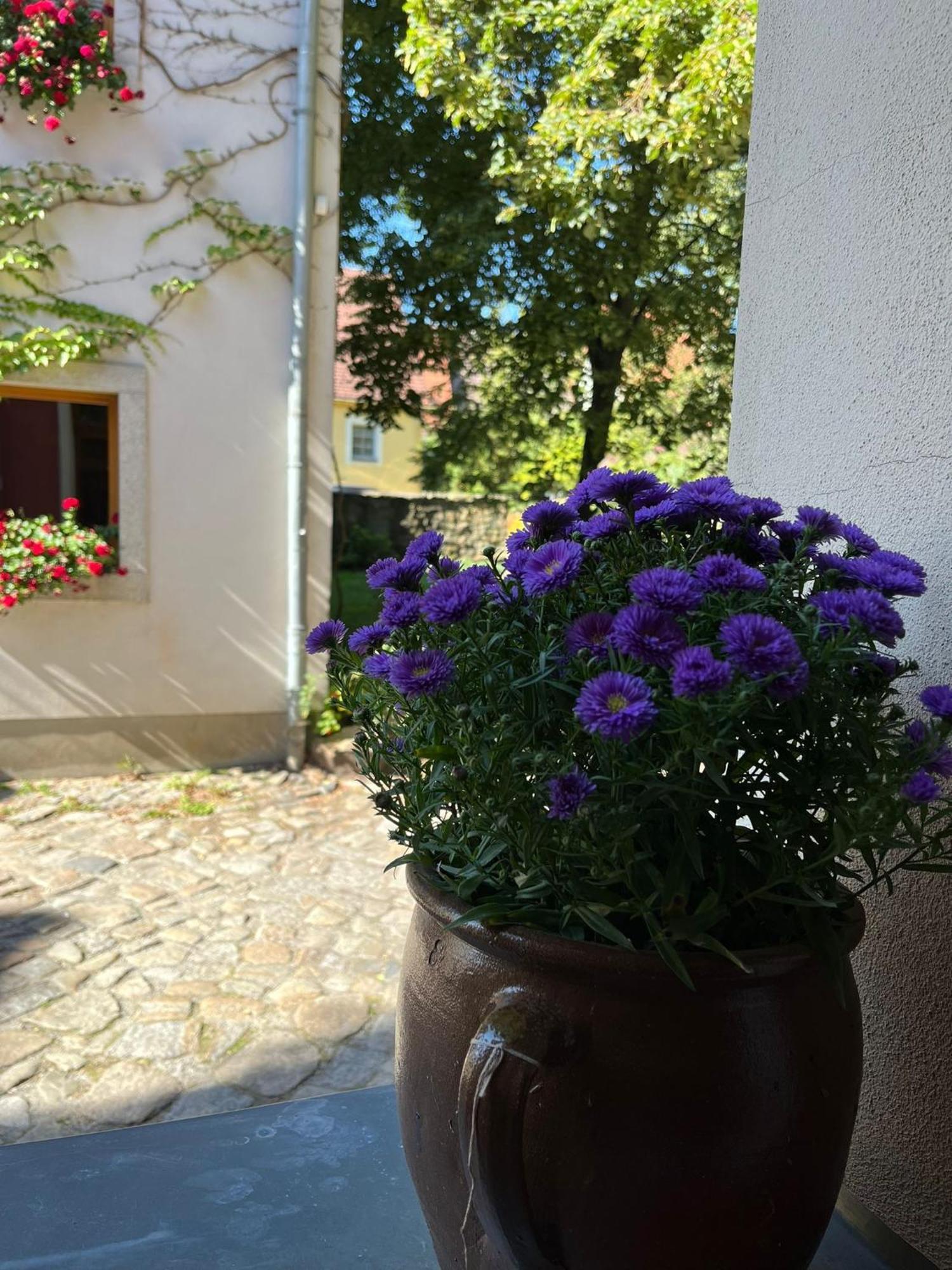 Appartement 5 Predigergasse Bautzen Exteriör bild