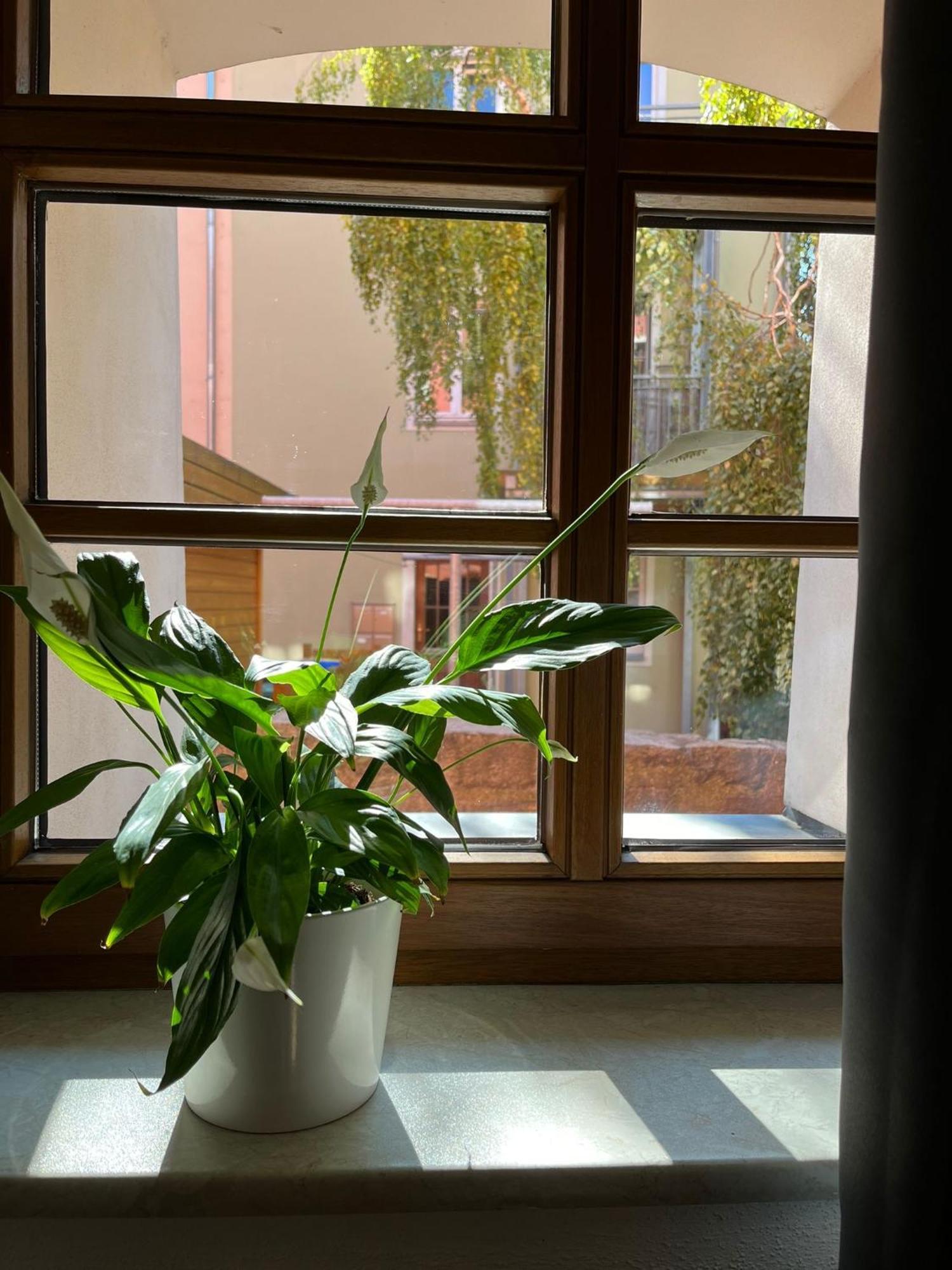 Appartement 5 Predigergasse Bautzen Exteriör bild